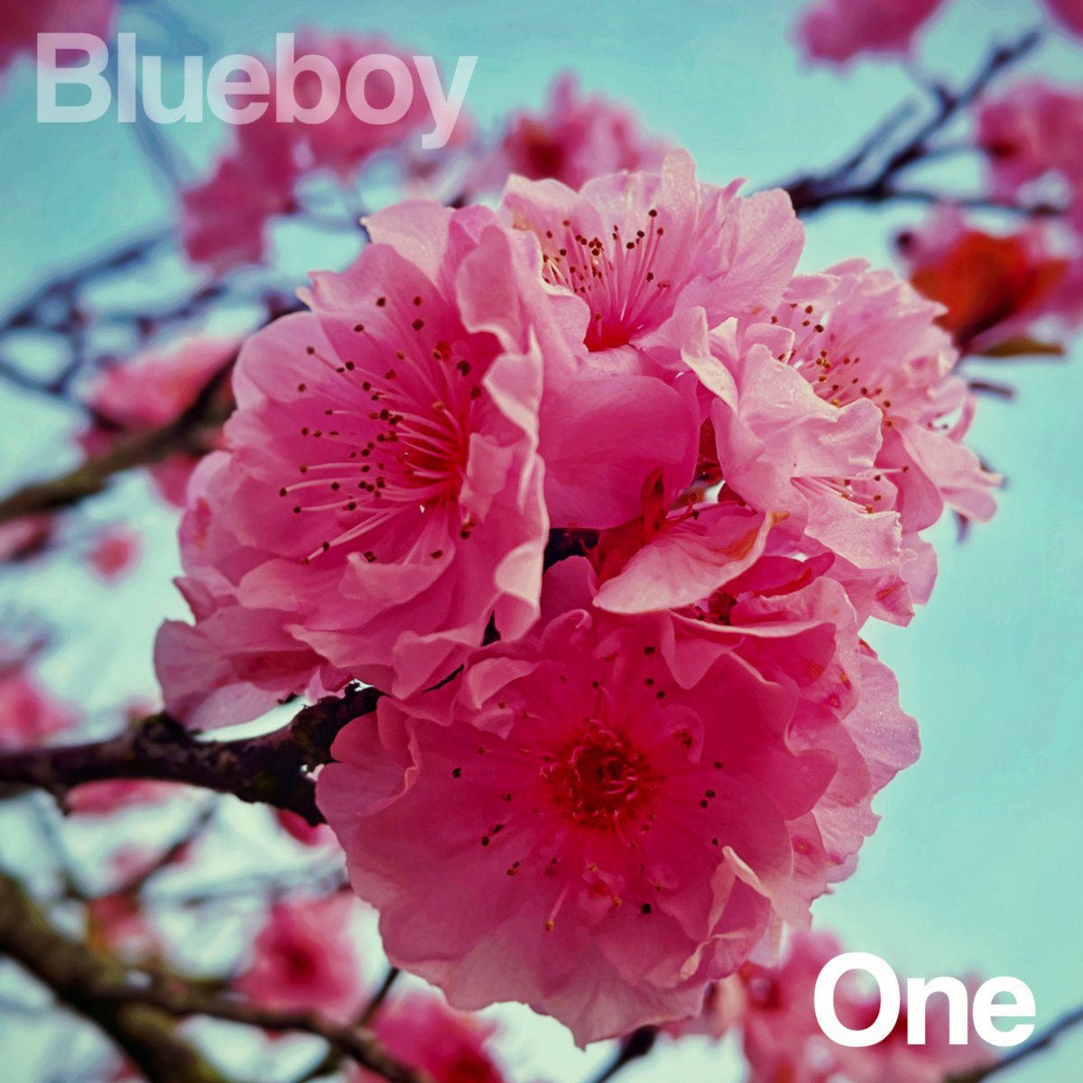 REVEALED ! The front cover for PRENEW 1 – the fab new single from @officialblueboy released on @PrecRecs on May 18 at the Water Rats show ... PS -- people are asking, and yes, the record will be available afterwards on Bandcamp and in some shops ...