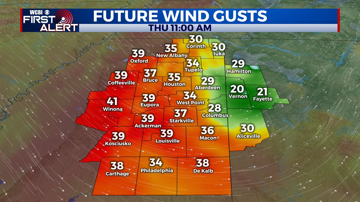 MORE WIND - while these won't be constant speeds, gusts up to 30-40 mph are possible on the back side of a departing low pressure system later this morning into the afternoon. This could cause some additional tree or power line issues. #mswx #alwx