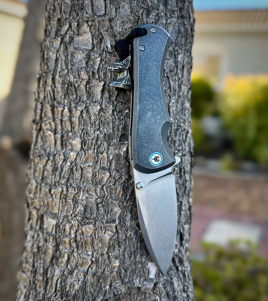 'Let your roots run deep, your branches reach high, and your spirit dance with the wind. Be like a tree, strong, resilient, and forever growing towards the light”. 🌳💙🗡️ 

#warblades #anubis #builtforwar #belikeatree #knifelife #edc #capetown #knifenut #knifecommunity