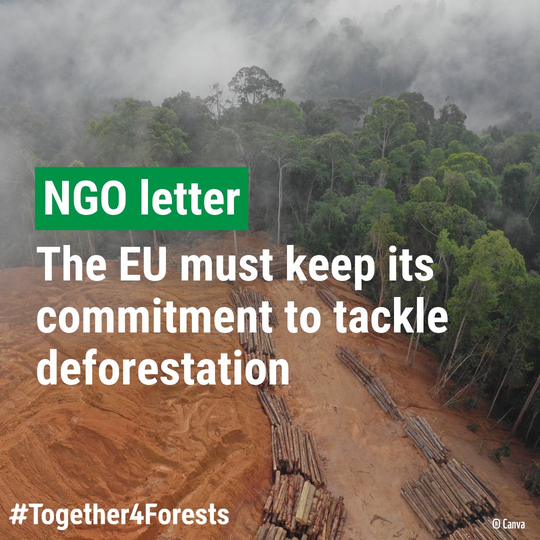 📢 We call on President <a href="/vonderleyen/">Ursula von der Leyen</a> to stand by the EU Deforestation Law!

Europe can't backtrack on tackling #deforestation &amp; must swiftly implement this landmark law.

Together with 170 NGOs, we signed this letter: westpapuanetz.de/informieren/ge…

#Together4Forests