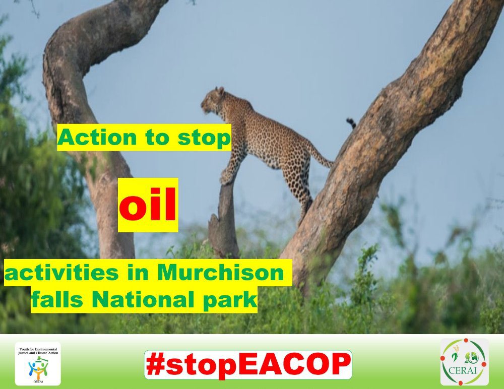 🎷🎷Tomorrow we shall have a community action calling on @TotalEnergies to stop oil activities in Murchison Falls National park. 

Join the action 🔥🔥🔥🔥🔥
#SavemurchisonFallasNPfromOil
#StopOil
#StopEACOP