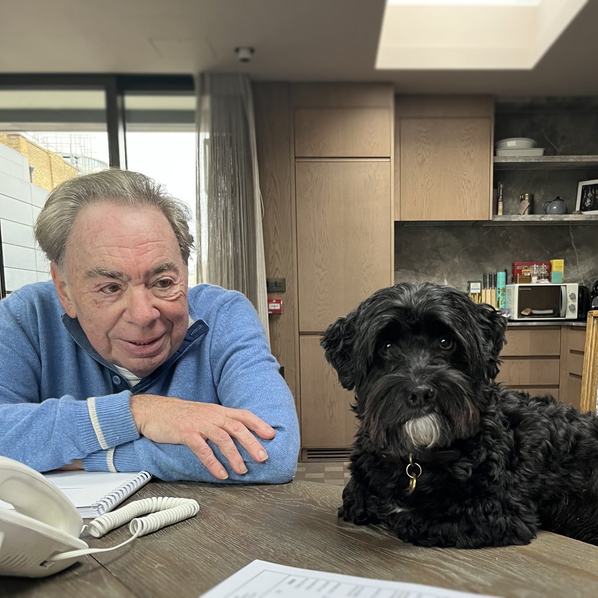 Celebrating the joy that pets bring into our lives this #NationalPetDay! 🐾 -TeamALW