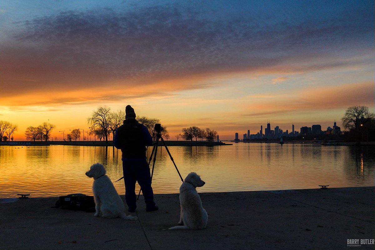 Today is National Pet Day. #chicago