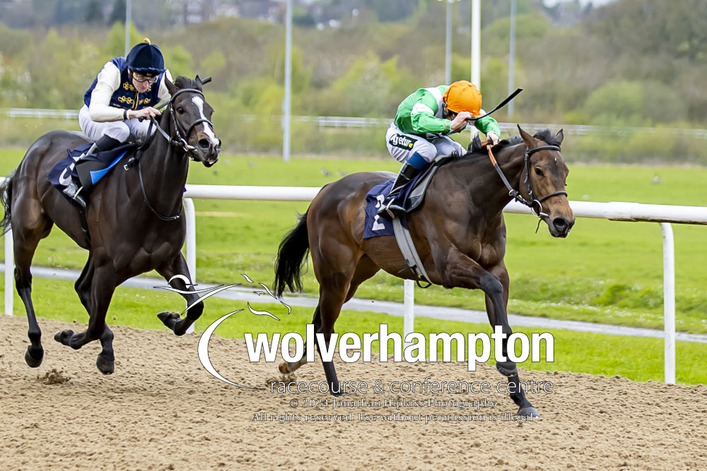 WolvesRaces tweet picture