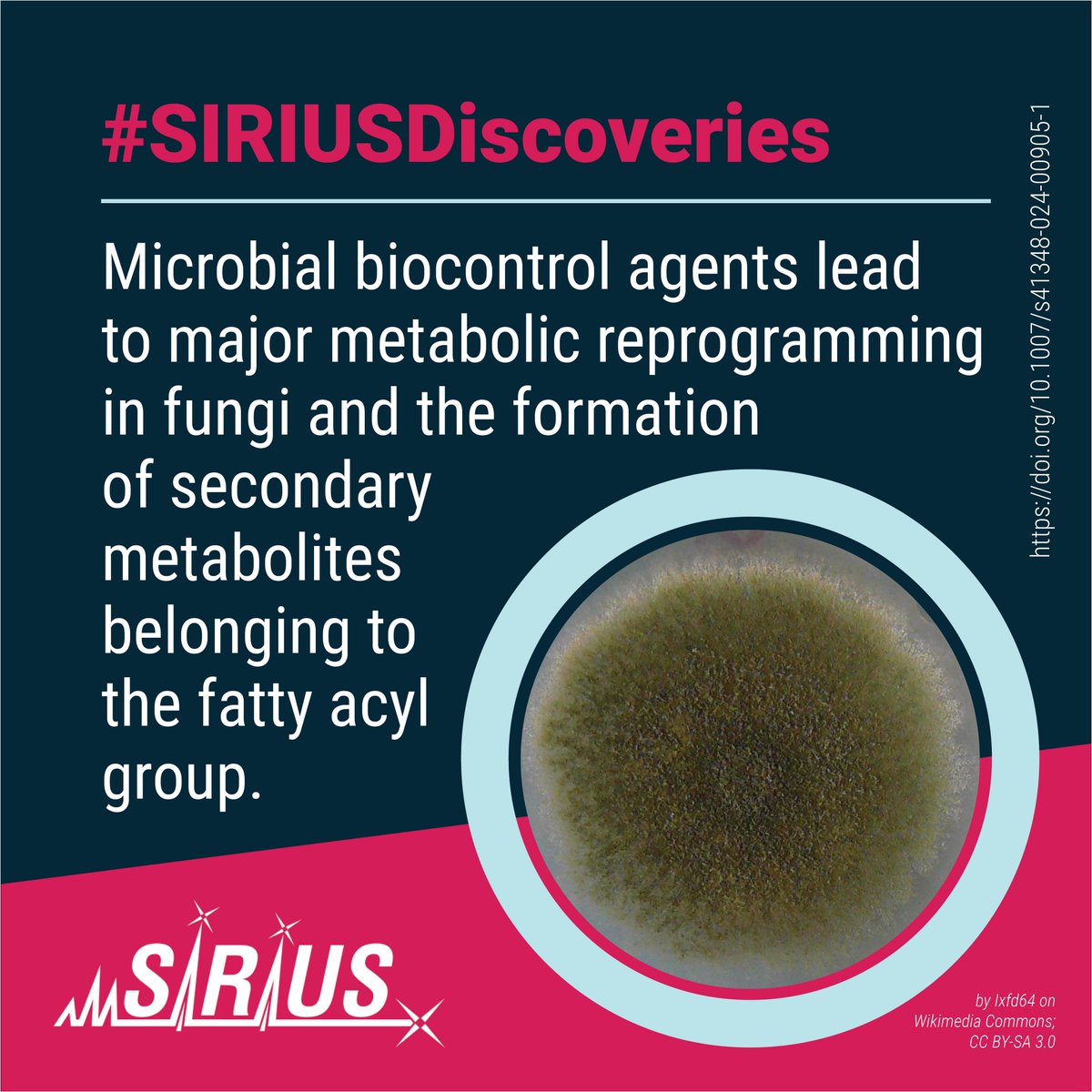 Microbial biocontrol agents lead to major metabolic reprogramming in #fungi. Using SIRIUS, researchers found that many of the #SecondaryMetabolites belong to the group of fatty acyls. 

More #SIRIUSDiscoveries: bright-giant.com/discoveries/

#MassSpectrometry #MSSoftware
