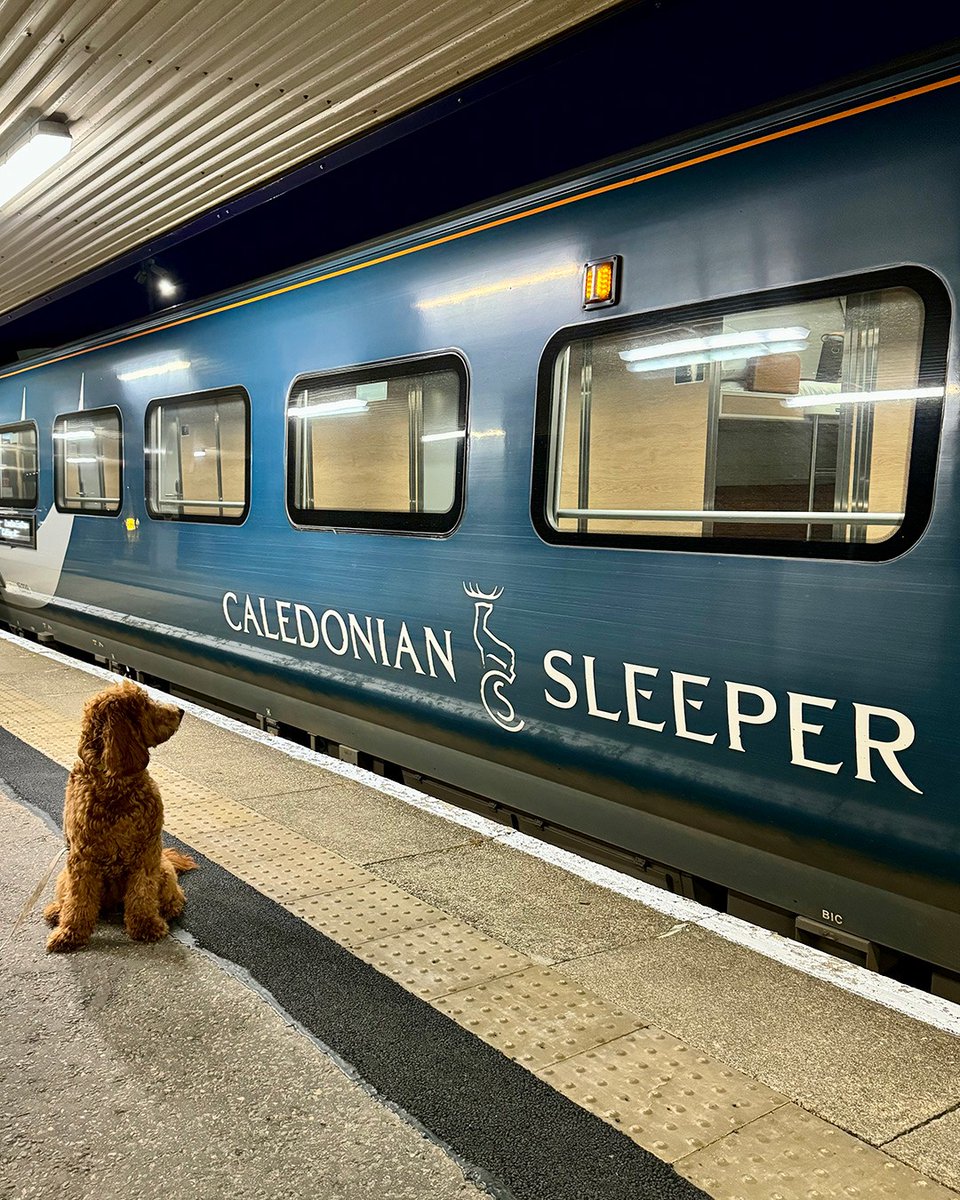Happy National Pet Day 🐾 Don't want to leave your pet behind? Read all about travelling with pets sleeper.scot/travelling-wit… Have you brought your pet on the Sleeper before? Share your photos with us 😍