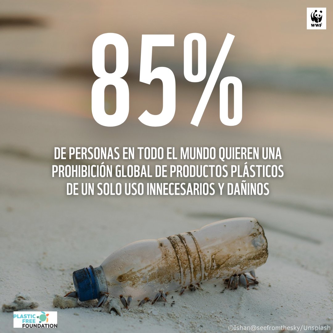 🟡 Gran apoyo público para un tratado global contra el plástico 85% de los encuestados en 32 países considera prohibir los #plásticos de un solo uso, ya que constituye el 70% de la contaminación plástica en los océanos Informe WWF y @PlasticFreeJuly 👇 wwf.es/informate/actu…