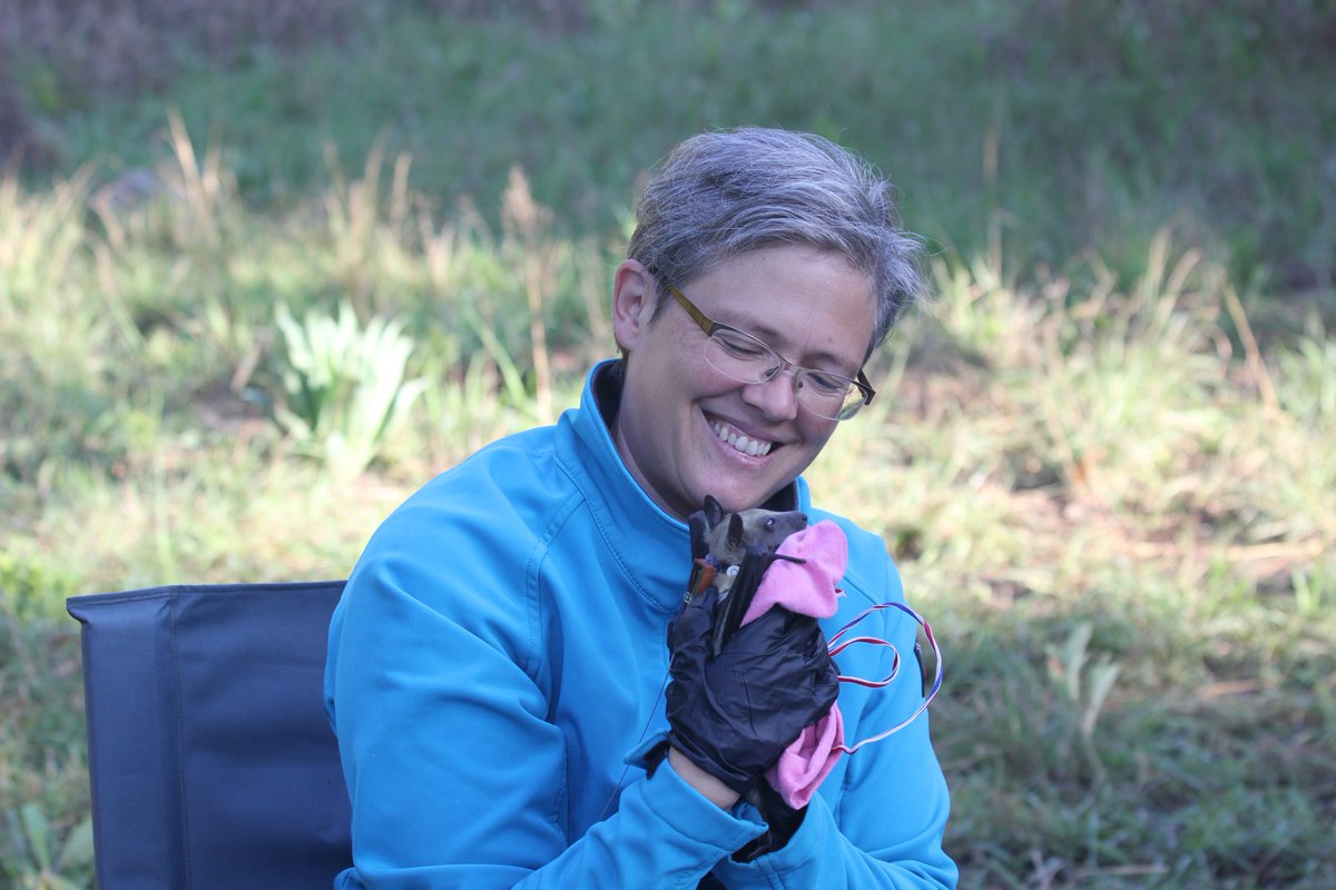 Another of our #keynote speakers, is Dr. Dina Dechmann (@dechmannlab) a classical behavioral #ecologist with a passion for #evolution 🧬 Her emerging focus is increasingly on the role that resource distribution in time and space plays for animals 🦟🦇