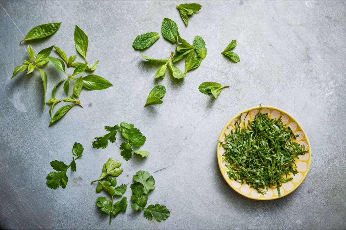 Fresh herbs have the ability to elevate a dish to the next level! To celebrate all things herbs check out our partners @SAfoodforlife #PlantandShare campaign toolkit with lots of tips on growing and cooking with herbs. You can also find our ‘all about herbs’ resource in our bio!
