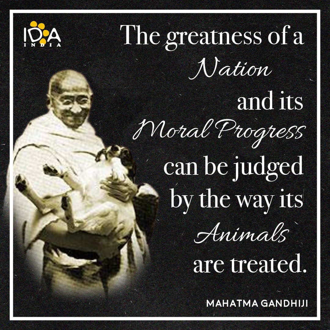 Let's follow Gandhiji's vision of a compassionate nation! 🐾✨ Today, take a moment to care for a stray animal in need. Together, we can make India a place where every animal is valued and loved. Join IDA India in this journey of kindness. 💙 #AnimalLove #GandhijiInspired