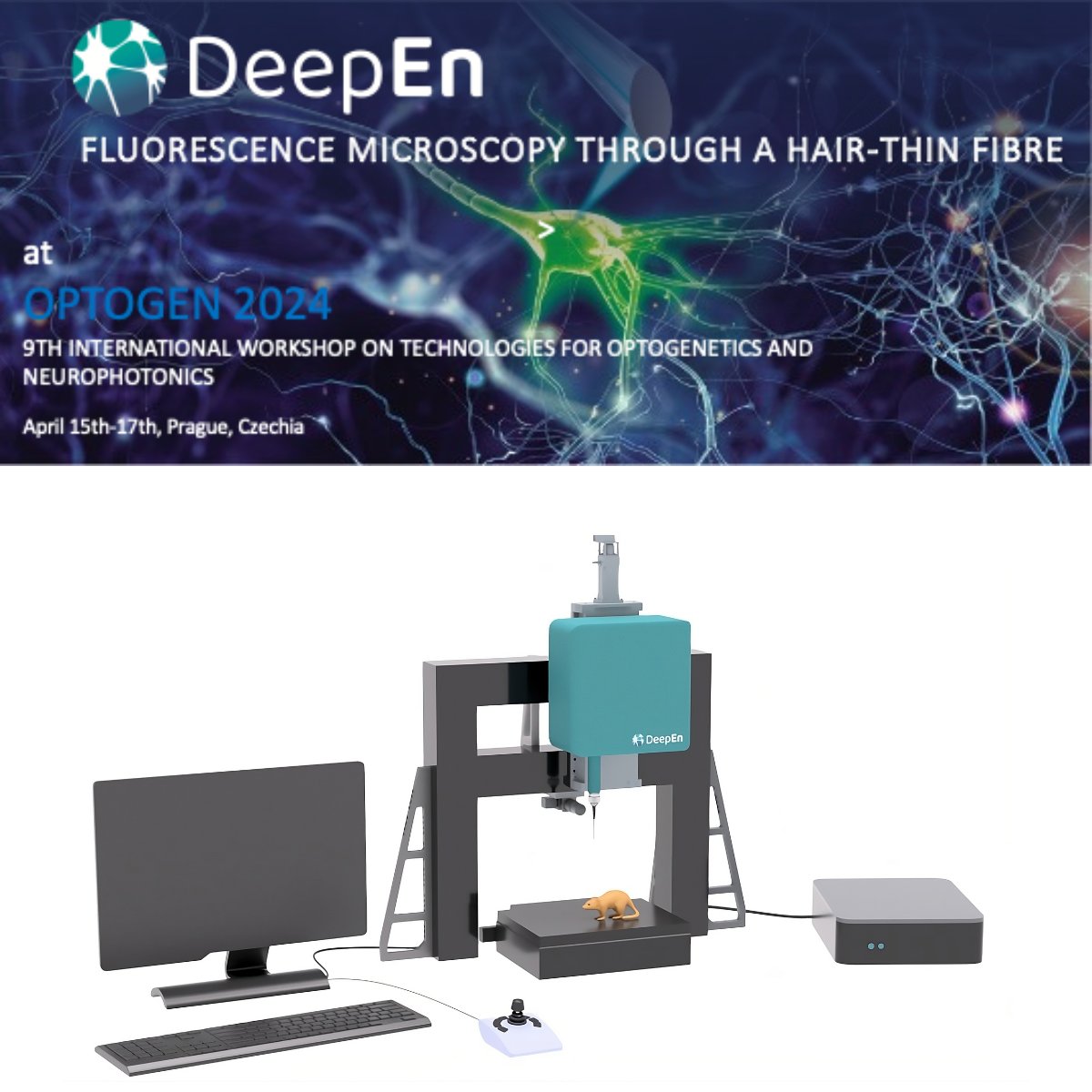 Exhibition time for @DeepEn_imaging !
Preparations are in full swing for #OPTOGEN 2024!
Take the opportunity to discuss deep brain imaging using holographic #microendoscope with our team in Prague next week.
#optogenetics #neurophotonics