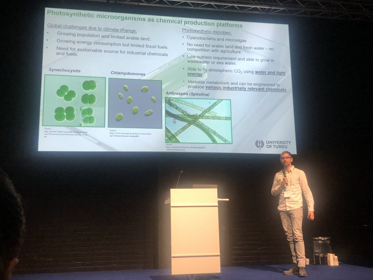 Excellent talk by @GaborSzToth in the Biofoundries for Bioeconomy theme at @ChemBioFinland. Well done! @PhotoMicrobes