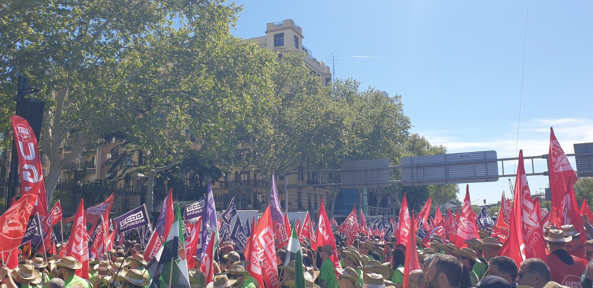 Hoy era un día clave para manifestar la precariedad y el abuso que caracteriza al mundo del campo; CCOO ha estado ahí, como siempre. #AgroConFuturoYDerechos #AgroCCOO @Industria_CCOO #AgroCCOO