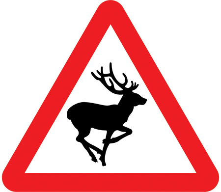 Be deer aware! A reminder to be even more vigilant now while driving as we are in the deer birthing season, when numbers near the road can increase further.

See advice here: orlo.uk/GIGOp