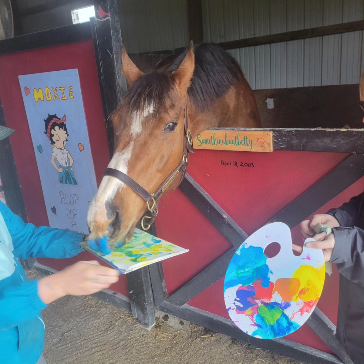 Somethinaboutbetty is a true artist! <a href="/bergenstables/">Bergen Stables</a> <a href="/BloodHorse/">BloodHorse</a> <a href="/bobandtom/">The BOB & TOM Show</a> <a href="/ChampsTrack/">Champs of the Track</a> <a href="/claibornefarm/">Claiborne Farm</a> <a href="/DonnaBBrothers/">Donna Brothers</a> <a href="/DRFLivingston/">Barbara D. Livingston</a> <a href="/PMirabito/">Peter M. Mirabito</a> <a href="/sidnam10/">Sidna Trimmell</a> <a href="/SienaFarmKY/">Siena Farm</a>