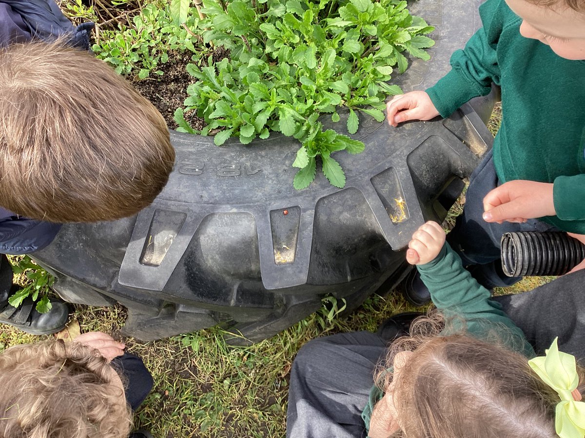 Today in Nursery, the children loved exploring the garden and they even found a ladybird! #UTW 🐞
