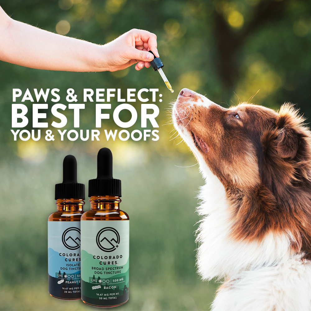 Hey fur-friends! 🐾 Time to wag those tails and unwind with our favorite treats for National Pet’s Day! 🌿 Whether it's fetch, cuddle time, or just lounging around, treats keeps us feeling pawsitively zen. 😌🐶 #NationalPetDay #DogsofInstagram #PawsAndRelax #CBDLife 🐾