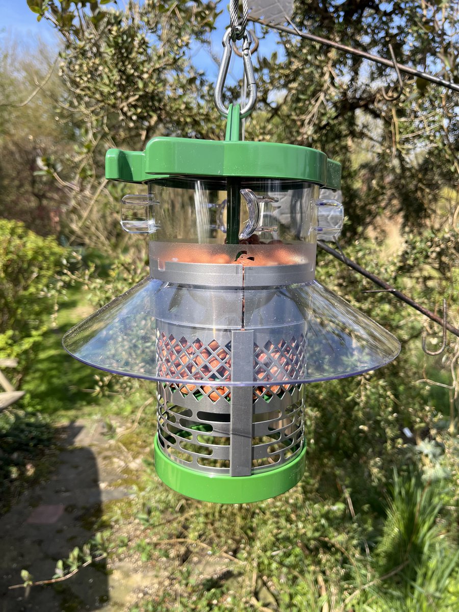 On the blog: I review the #finchesfriend 'Cleaner Peanut Feeder' - a robust and easy to clean bird feeder #blog #gardenblog #gardenbirds #birdfeeder 
#taplink blackberrygarden.co.uk/2024/04/produc…