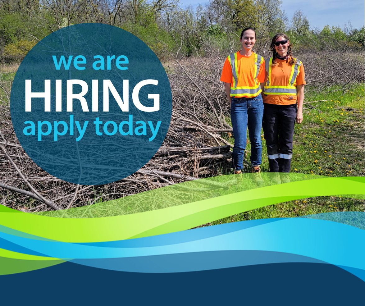 Passionate about conservation? Love the outdoors? Join us in the fight against invasive species! 🌿 TRCA is hiring an Invasive Species Management Crew Leader. Apply now and protect Ontario's natural habitats: bit.ly/3vOIHLk #TRCACareers #SummerJob #InvasiveSpecies