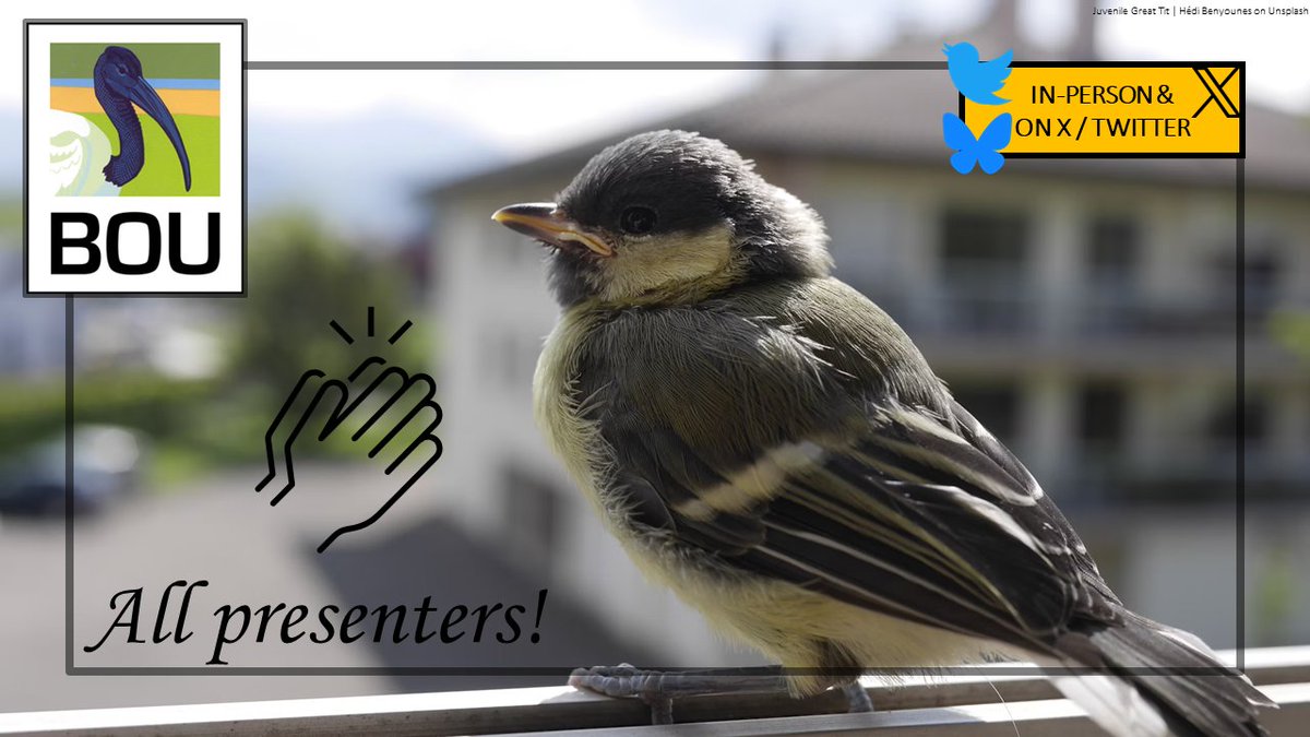 4/ Massive thank you to all of our presenters who have delivered in-person and poster presentations, which are all summarised here under #BOU2024 👏 Make sure you search for the tag to catch up on any #ornithology and #urbanbirds presentations you may have missed