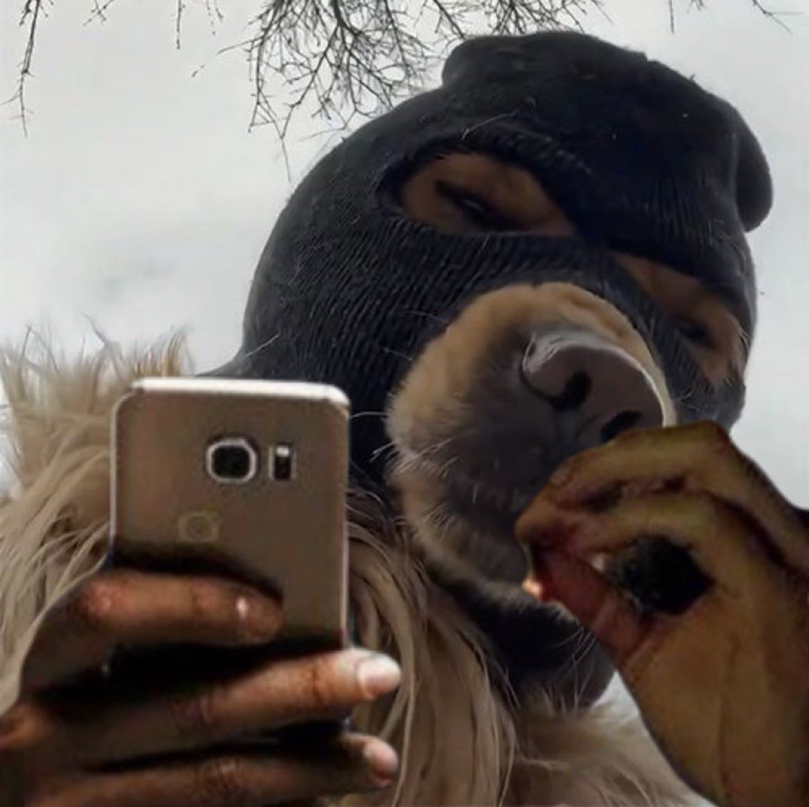 Mr. Crypto Suri tweet media