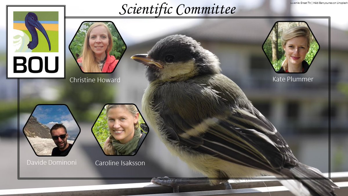 5/ #BOU2024 would not be possible without the fantastic Scientific Committee who put this amazing programme together Thank you @_choward @dmdominoni @CarolineIsak and @_KatePlummer 👏