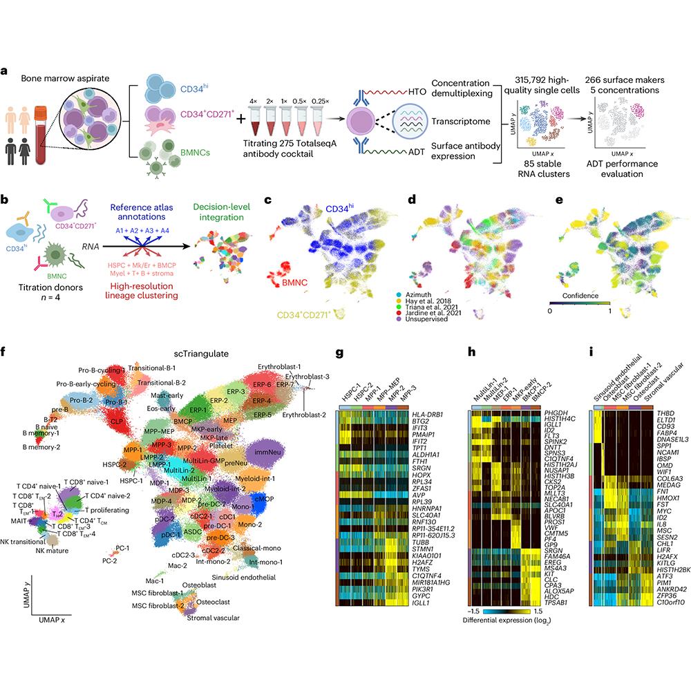 A Resource article in @NatImmunol integrates genomic, bioinformatic and flow cytometric data from human bone marrow to provide an atlas of hematopoietic progenitor cell states in health and disease. go.nature.com/49ge4Mz