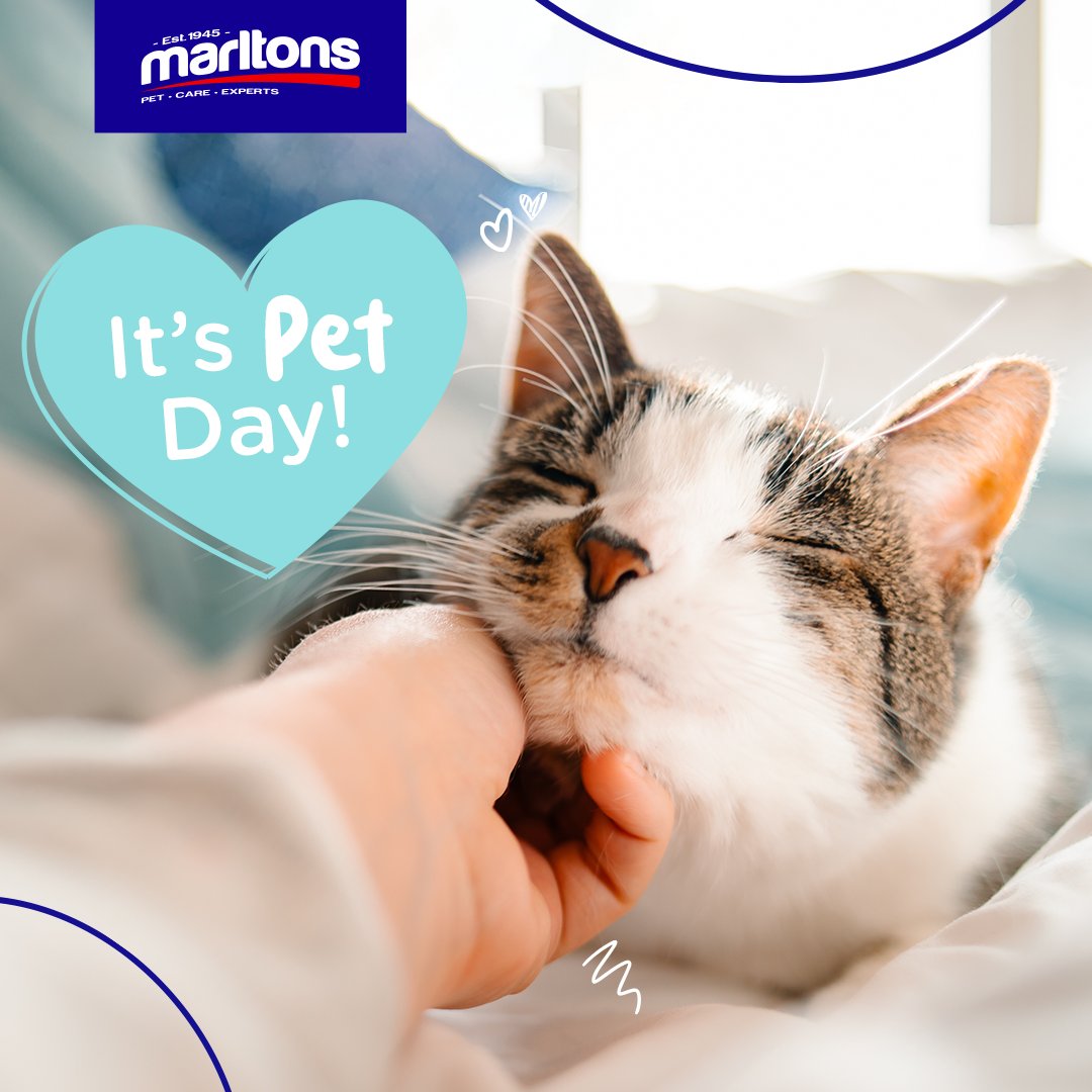 Happy #PetDay! 🎉Our pets, whether they are furry, feathery, or scaly, bring so much joy into our lives. Today, let's shower them with extra love and celebrate that special bond. 🐶💖

#PetDay #Marltons #PetCare #PetLove