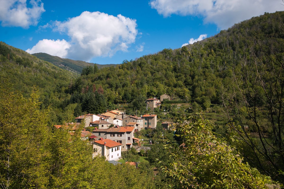 Anche per il 2024 la giunta toscana ha approvato l’attivazione della misura 13 “Indennità a favore delle zone soggette a vincoli naturali o ad altri vincoli specifici” che quest’anno ha una dotazione di oltre 10 milioni di euro. 👉Per approfondire: w3.webrt.it/nC6Ww