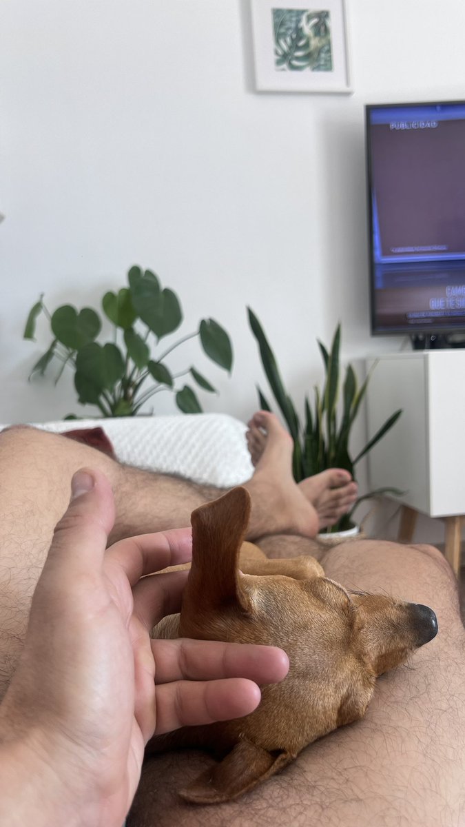 FranMirabel's tweet photo. #relax y ver tonterías de la TV 👏🏻👏🏻👏🏻👏��� https://t.co/e35EHxoSWQ