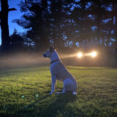 ClassicSupt's tweet photo. #NewProfilePic https://t.co/MfNqv19zYi