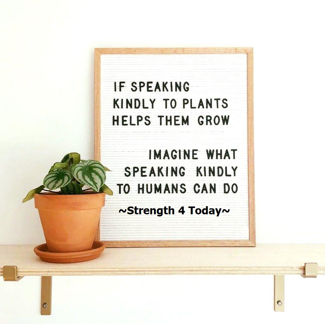 If Speaking Kindly To Plants Helps Them To Grow.
Imagine What Speaking Kindly To Humans Can Do.

#RecoveryPosse #Strengthfor2day