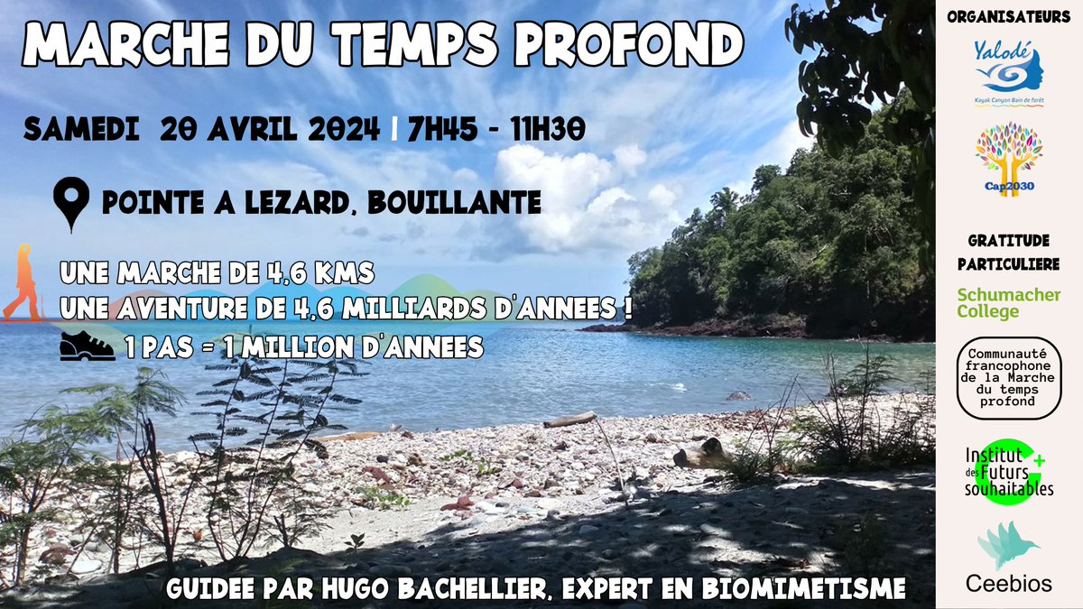 Cap2030_DD's tweet photo. 🌿 Rejoignez-nous pour une aventure extraordinaire ! 🪄 

Une expérience immersive au cœur des 4,6 milliards d'années l'histoire du Vivant de notre maison partagée, la planète Terre🌎🌏🌍

Inscrivez-vous pour en faire partie !
🎯 https://t.co/CcmFygcP78 https://t.co/0d5luLeELq