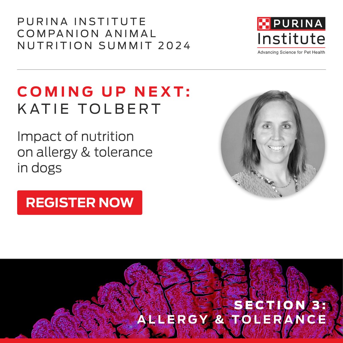 Coming up at #CANSummit 2024, Katie Tolbert, DVM, PhD, DACVIM (SAIM), SA nutrition, explores the impact of nutrition on allergy & tolerance in dogs. Watch here spr.ly/6188wj9g8 ​ #Veterinary #Immunonutrition #Allergens @CSUVetMedBioSci @OSUVetCollege @tamuvetmed @ufvetmed