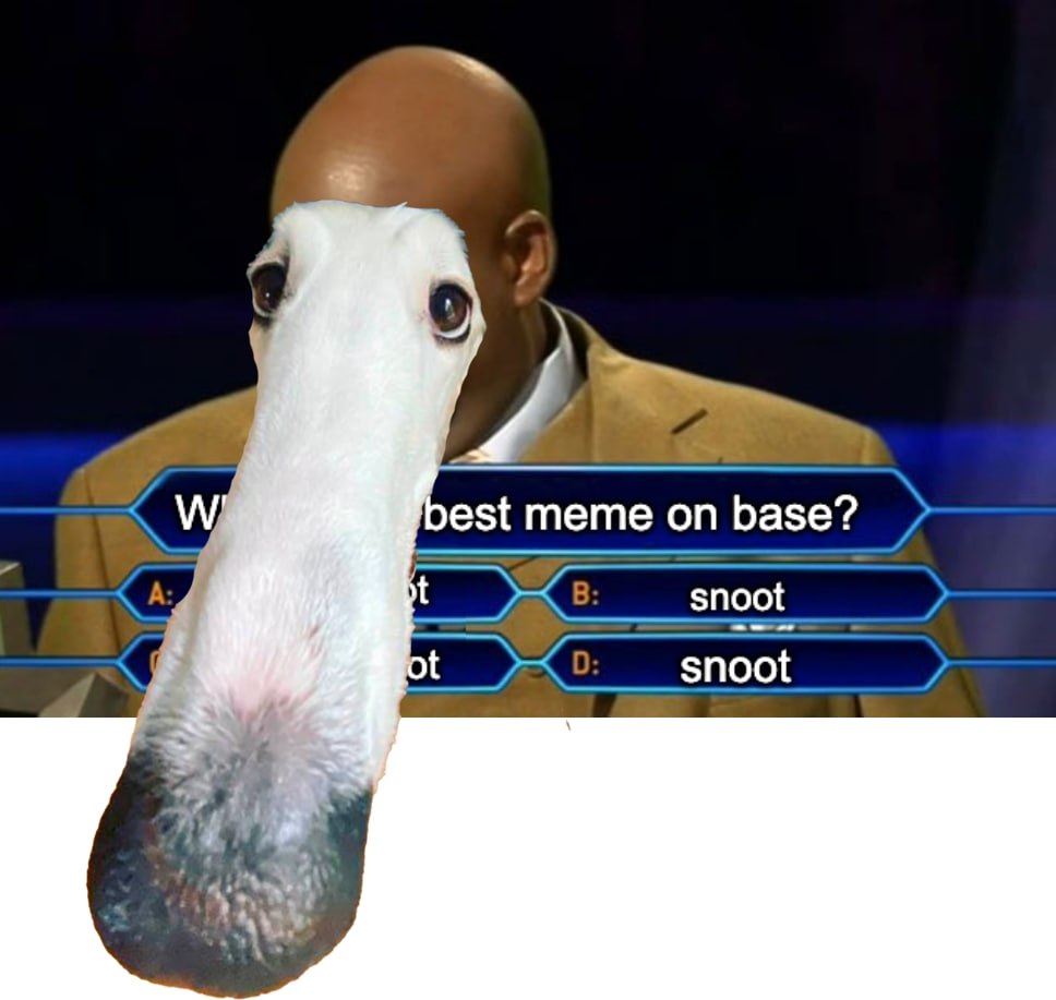 Snoot on base tweet media