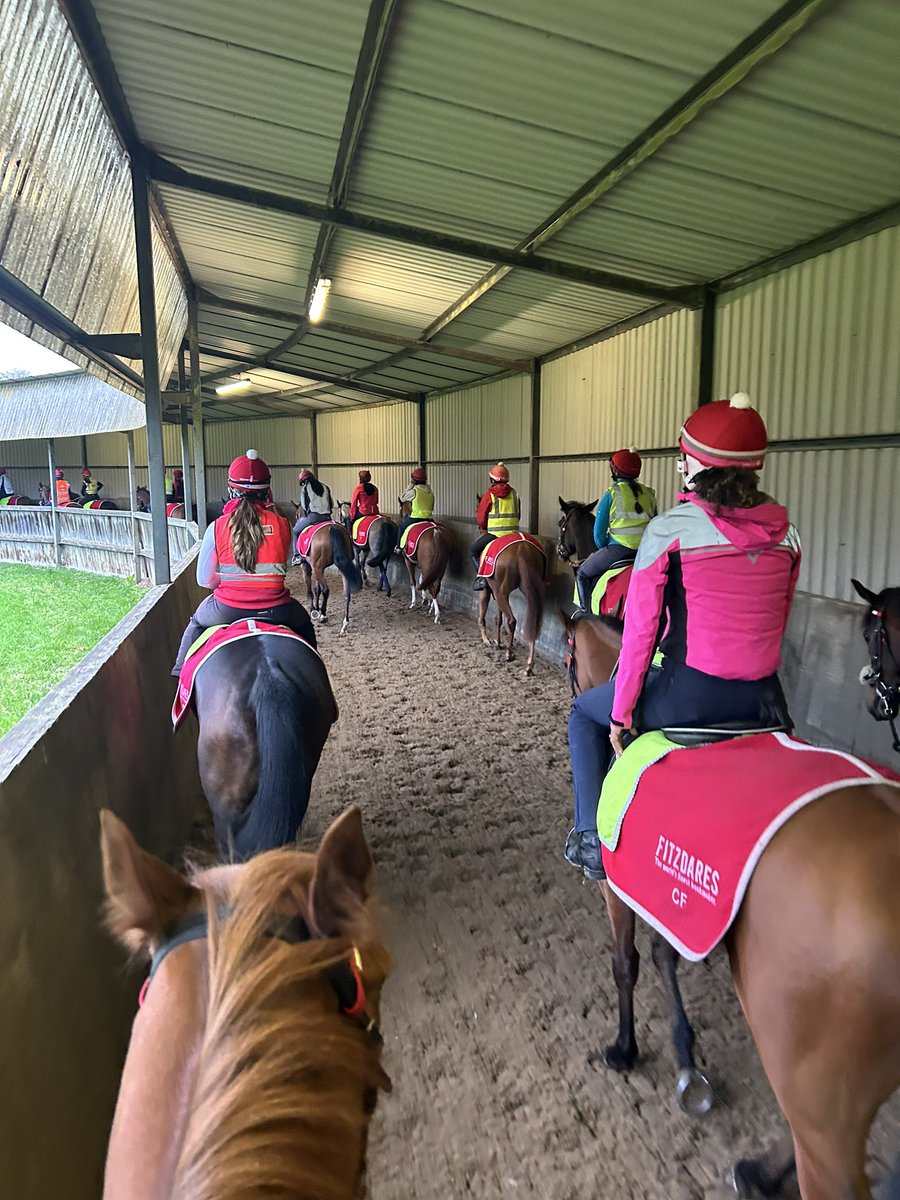 All go this morning at HQ 📍 @FellowesRacing 

This day next week we’ll be crowning the @bet365 Craven Stakes champion at @NewmarketRace 👏🏻 

Another year in - let’s go! 🚦

#ComeRacing #SeasonOpener #2024