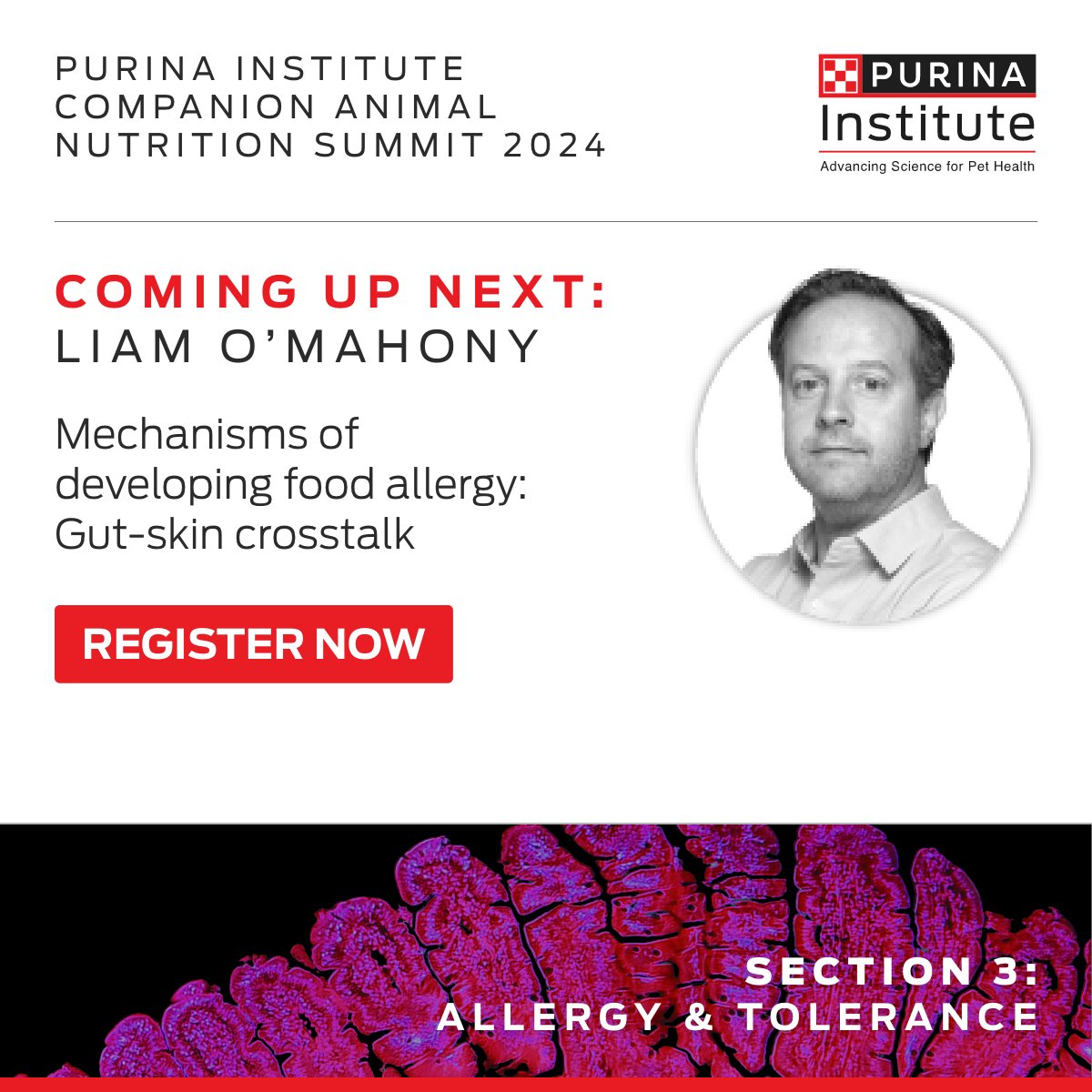 First up for day 2 of #CANSummit2024, Liam O’Mahony, BSc, PhD, PD, will present the mechanisms of developing food allergy, register to watch spr.ly/6188wj95i ​ ​ #Veterinary #Immunonutrition #Inflammation @CSUVetMedBioSci @OSUVetCollege @tamuvetmed @ufvetmed