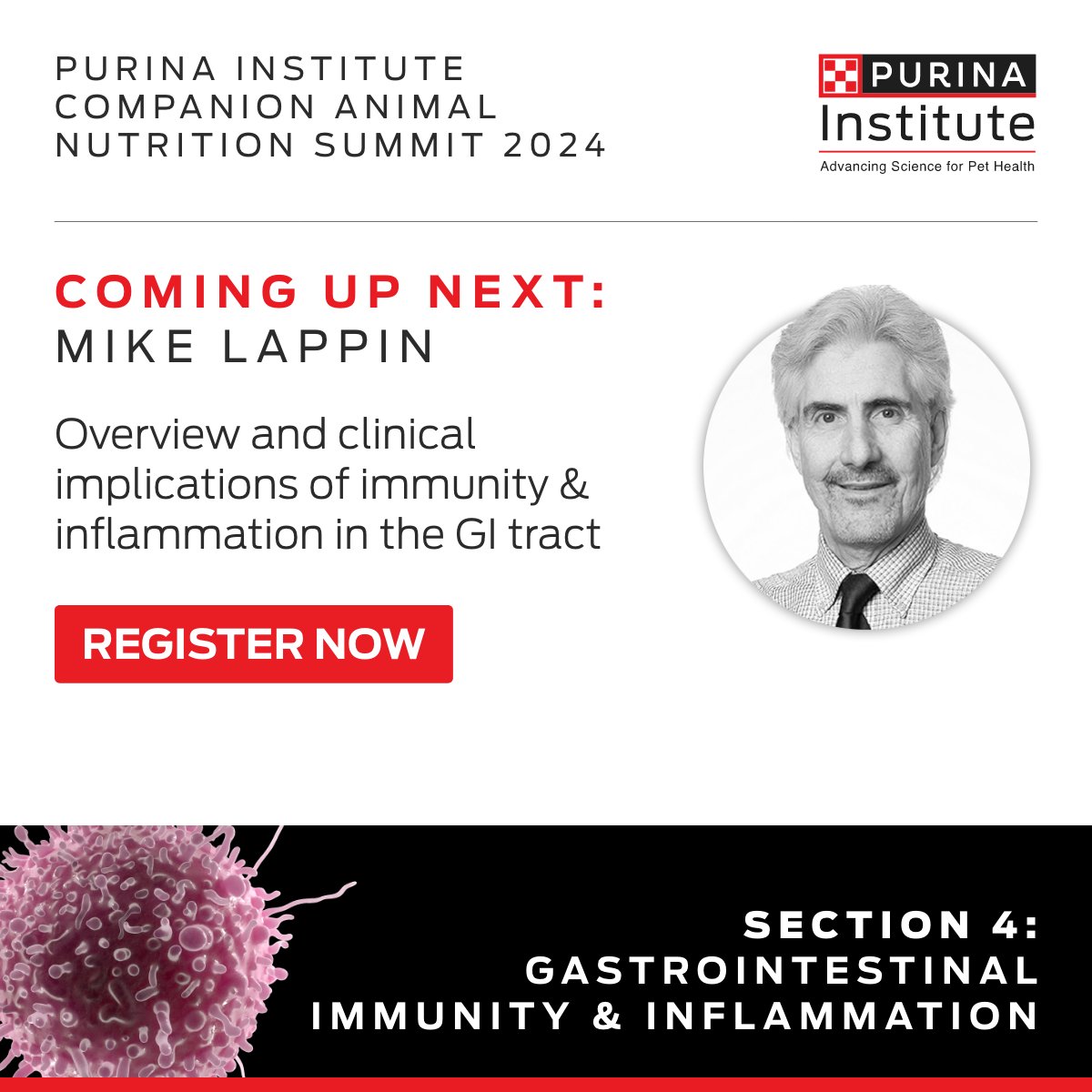 Mike Lappin, DVM, PhD, DACVIM, presenting next at #CANSummit2024 about the clinical implications of immunity & inflammation in the GI tract. Watch here spr.ly/6182wjWsr ​ #Veterinary #Immunonutrition #Inflammation @CSUVetMedBioSci @OSUVetCollege @tamuvetmed @ufvetmed