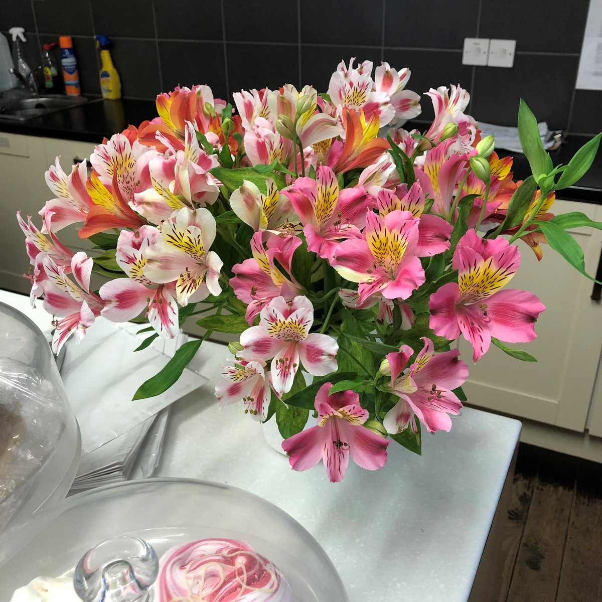 It's not raining (ssh) and there's a strange yellow thing in the sky. Could it be spring?? Whatever the weather, why not bring a little spring sunshine into your home with some Alstroemeria? On sale in the Shop now!