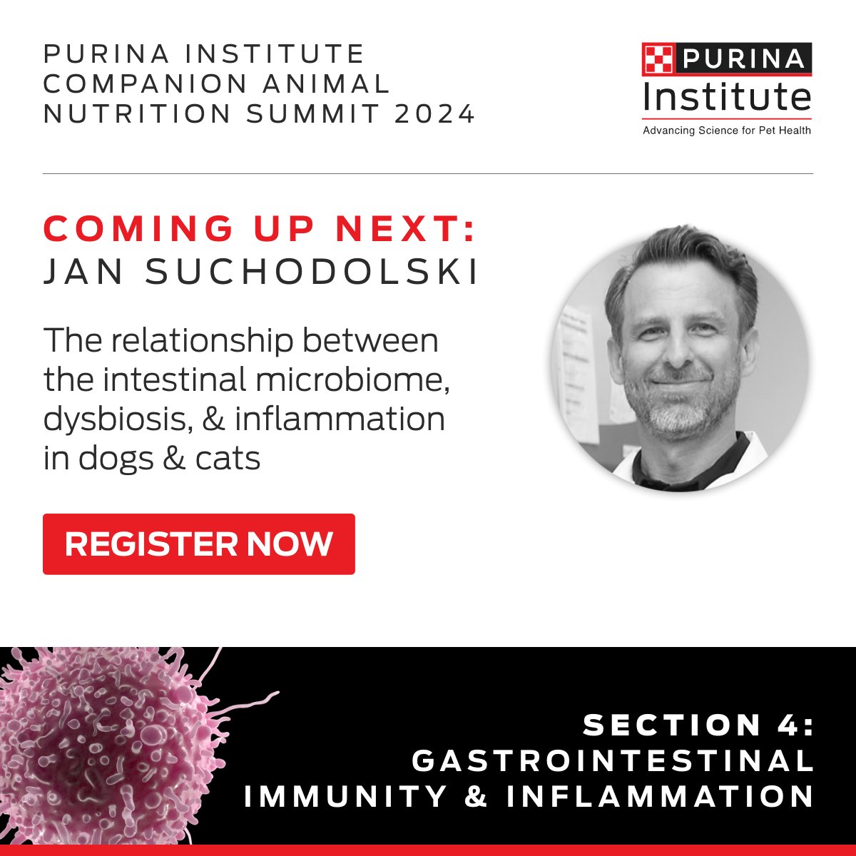 Jan Suchodolski, MedVet, DrVetMed, PhD, AGAF, DACVM presents next at #CANSummit2024 on the relationship between the intestinal microbiome, dysbiosis & inflammation spr.ly/6180wjWsQ #Veterinary #inflammation #microbiome @OSUVetCollege @tamuvetmed @ufvetmed @CSUVetMedBioSci