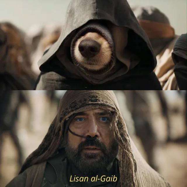 sealdogsol's tweet image. WARRRRF AL-GAIB