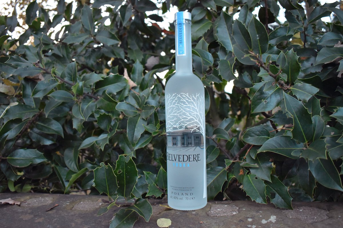 Distilled to create the perfect balance of character and purity, Belvedere Vodka is the true expression of luxury vodka.

🍸🩶

#vodka #cocktails #drinks #vodkacocktail #booze #vodkashots #vodkadrinks #vodkalovers #vodkamartini #belverdere