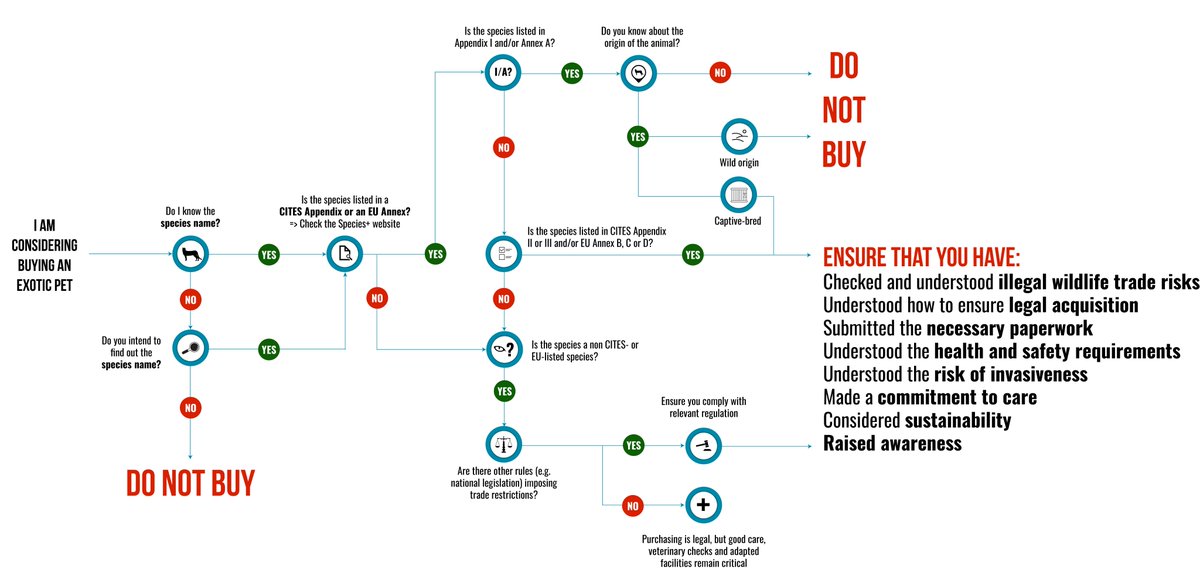 This #NationalPetDay, let's make mindful choices about pet ownership. It's crucial to make legal and sustainable decisions to protect wildlife and prevent fueling the illegal exotic pet trade. Before any purchase, check out our flow chart 👇 👉 loom.ly/jOeGZGc