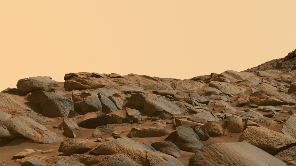 Rocks on Mars. Photographed Tuesday.