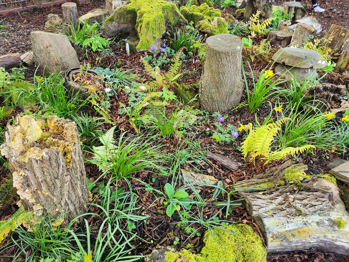 Gardening gang have been busy in all weathers this week tending to the outside plants and stumpery Litter picking duties today! @DioHerefordMAT @The_RHS @HighgroveGarden @YourHereford1