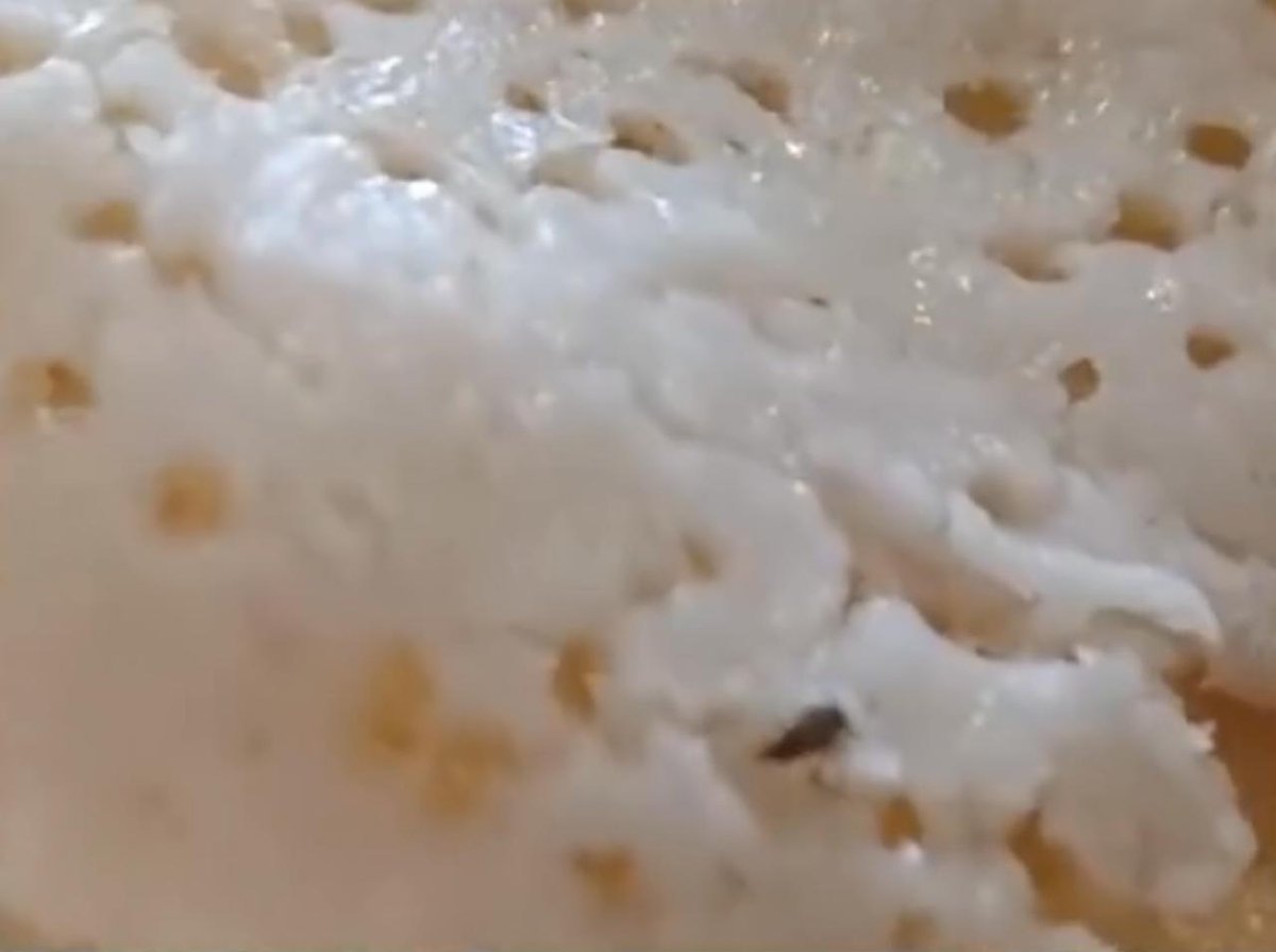 Insects found in food at Gaylord Cafe in Vadodara