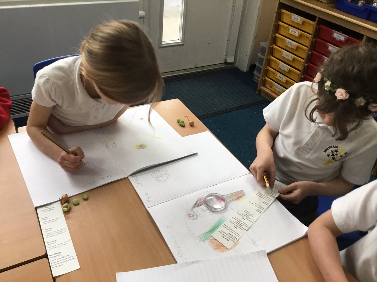 yr2melthamce tweet media