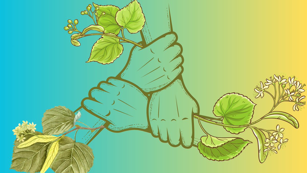 artiakolagunak's tweet photo. 🌱#Udaberria da jada #Irungo #Artia auzoko #Ezki ederrentzat.
Duela 4 #Udaberri 1⃣0⃣2⃣ ezkien #Defentsa|ren #Borroka|rekin jaio ginen eta @Irun_informa|k aho batez onartutako #Mozioa gogoratuz ospatzen dugu.
4.000 #Pertsona eta 47 #Elkarte|ren #Elkartasuna|ri esker lortu genuen💚 https://t.co/4ru0GQe5ta
