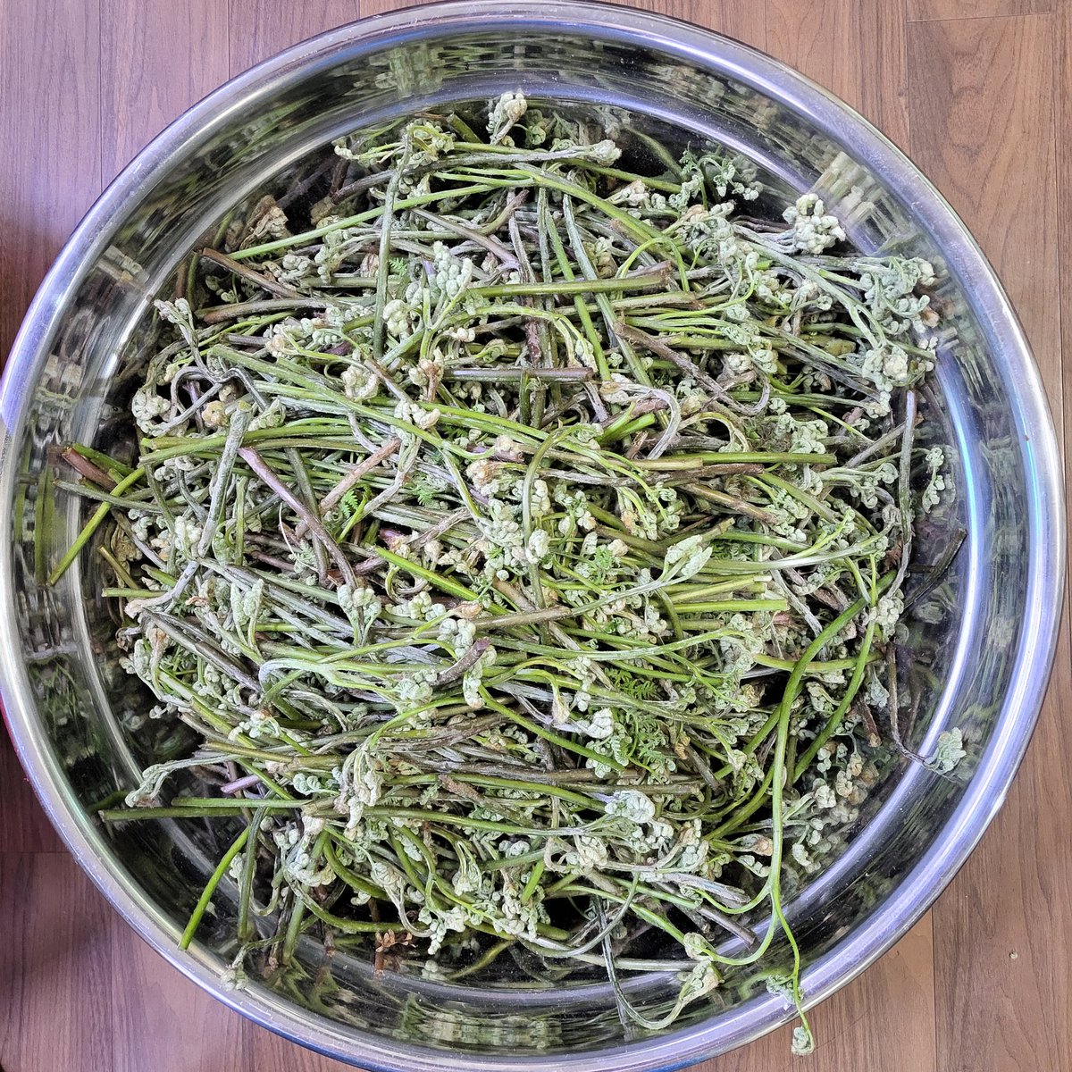 본가 산에서 두릅을 따고 고사리를 꺾었다.
연두빛 산 아래 보물 같은 고사리는 마른 풀숲을 헤치고 고개를 들고 있었고 두릅은 가시 위에 봄을 펼치고 있었다.
아버지를 생각했다.
아버지는 운명을 지게에 지고 험한 세상의 고비를 넘으셨다.
맨손으로 시작해서 아들이 봄을 보낼 놀이터를 물려