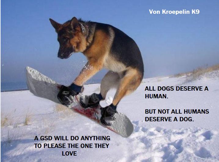 Von Kroepelin K9 'Dog of the Month'